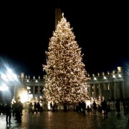 L'albero di piazza San Pietro