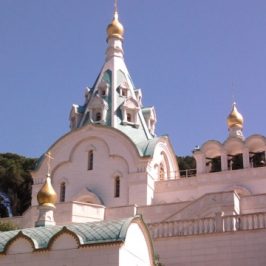 The coloured Orthodox church