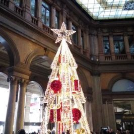 Albero nella Galleria Alberto Sordi