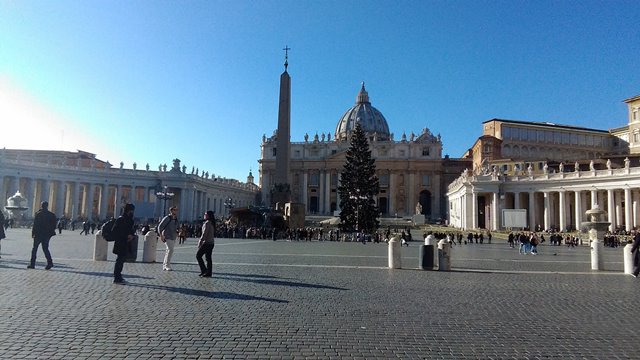 Albero e Presepe a Piazza San Pietro