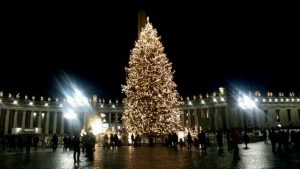 L'albero di piazza San Pietro