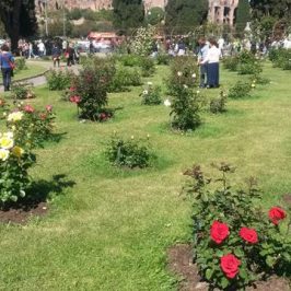 Quando visitare Roma: il roseto comunale in Primavera