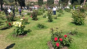 Quando visitare Roma: il roseto comunale in Primavera